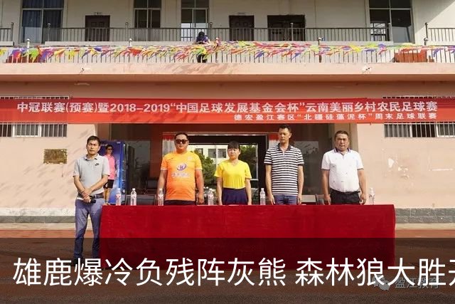 雄鹿爆冷负残阵灰熊 森林狼大胜开拓者4连胜